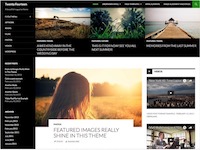 2014 WordPress Theme
