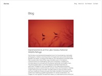 2025 WordPress Theme